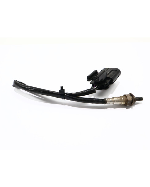 Viarelli Bravo/Primo, lambdasond