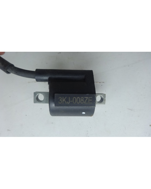 Sherco 50 SM, tändspole 2