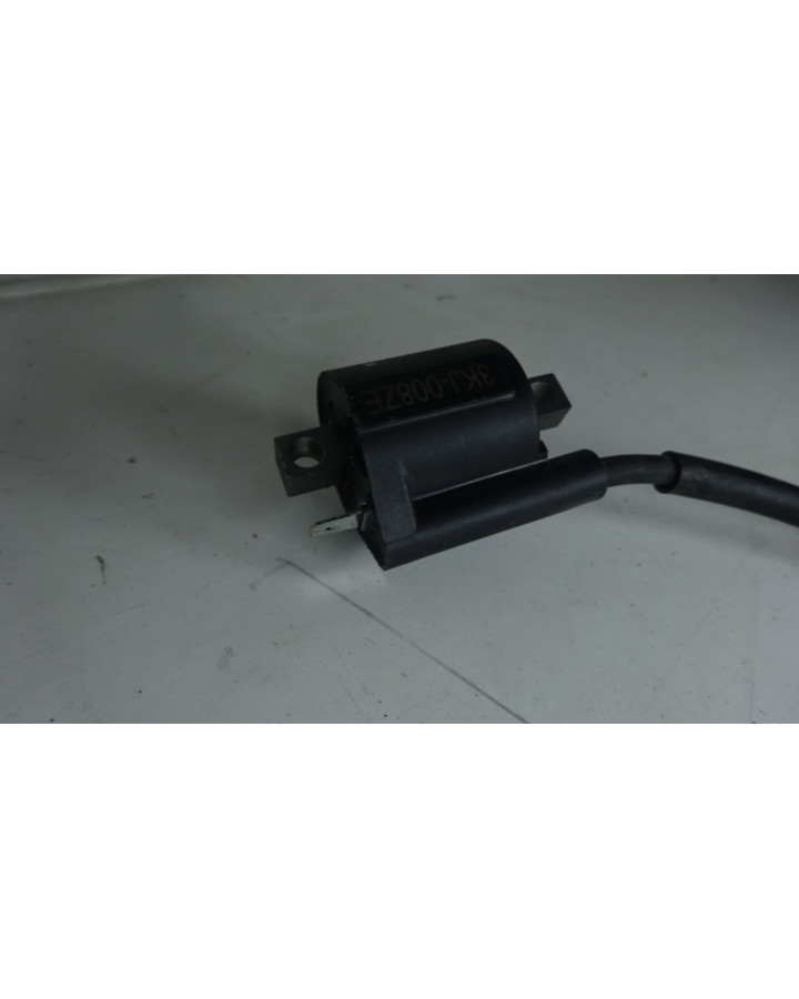 Sherco 50 SM, tändspole