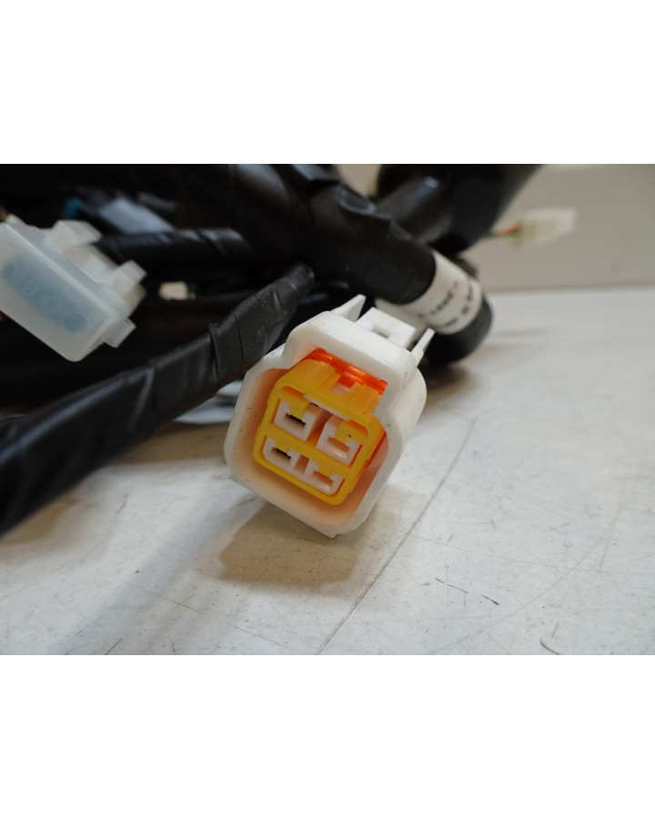 Viarelli GT1, kabelhärva