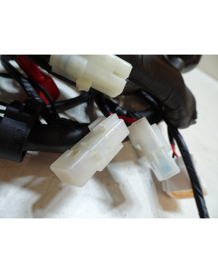 Viarelli GT1, kabelhärva