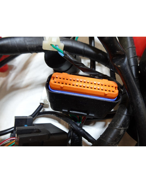 Viarelli GT1, kabelhärva