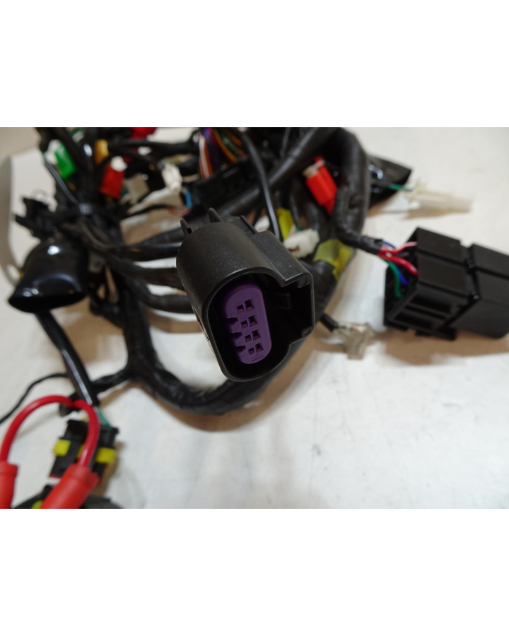 Viarelli GT1, kabelhärva