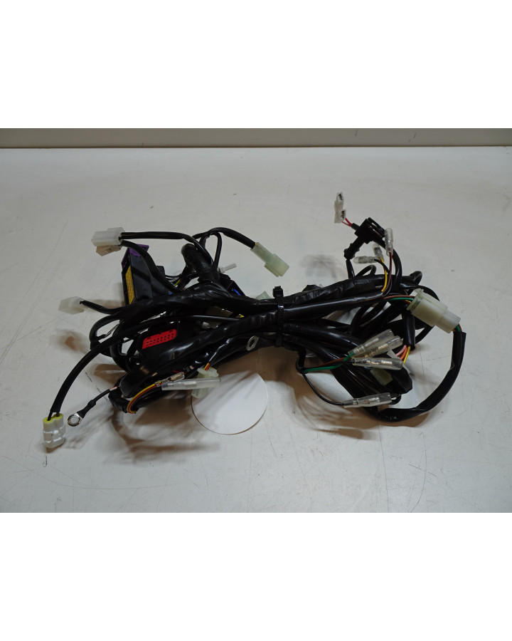 Sherco 50 SM, kabelhärva