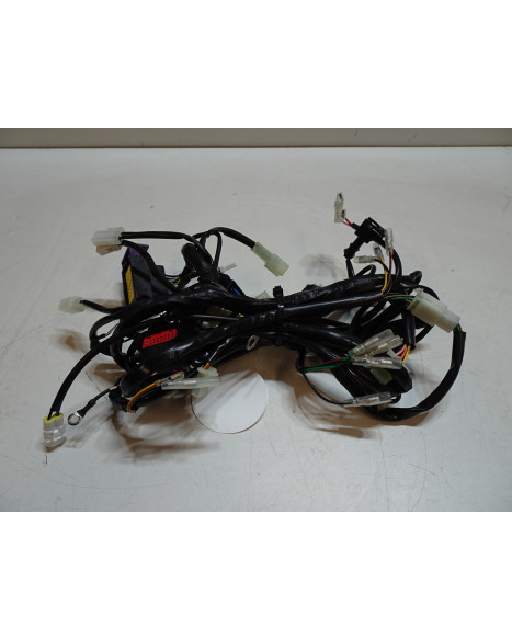 Sherco 50 SM, kabelhärva