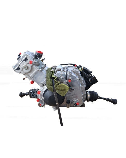 Suzuki KingQuad 750, motor 2