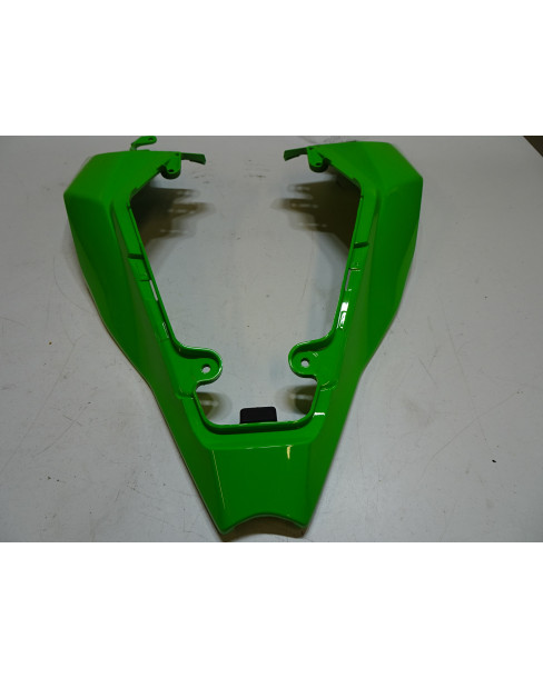 Kawasaki ZX10R, bakskärm