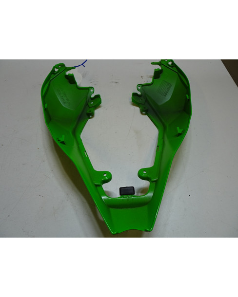 Kawasaki ZX10R, bakskärm 2