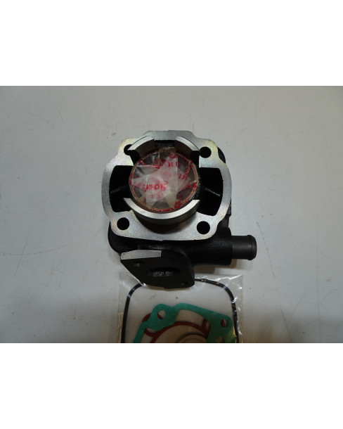 Yamaha Aerox, Minarelli cylinderkit liggande (vattenkyld) 2