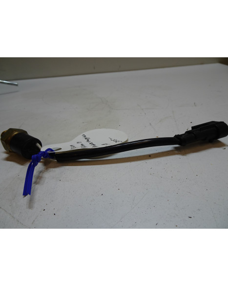 Aixam S9, tempgivare