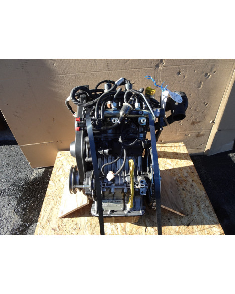 Lombardini LDW442 CRS motor