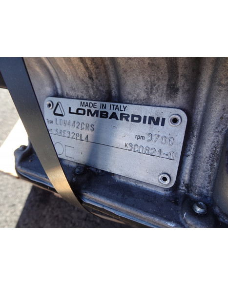 Lombardini LDW442 CRS motor