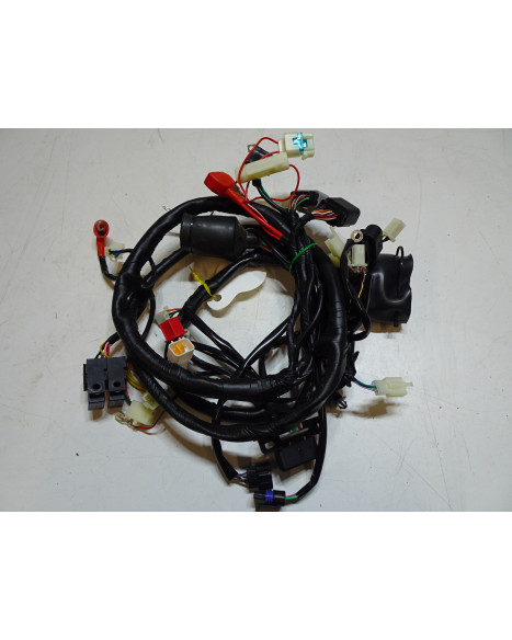 Viarelli Bravo, kabelhärva