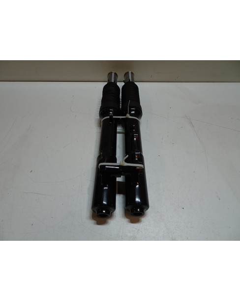 Viarelli Bravo, gaffelben (par) 2