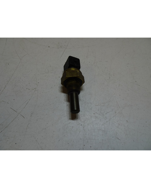 Ligier/Microcar, tempgivare 2