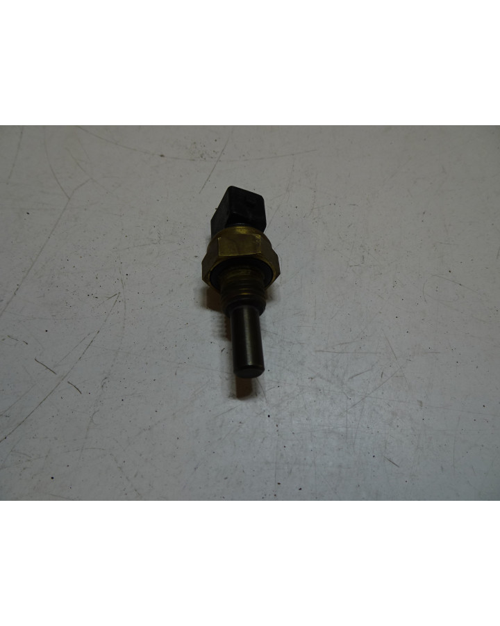 Ligier/Microcar, tempgivare