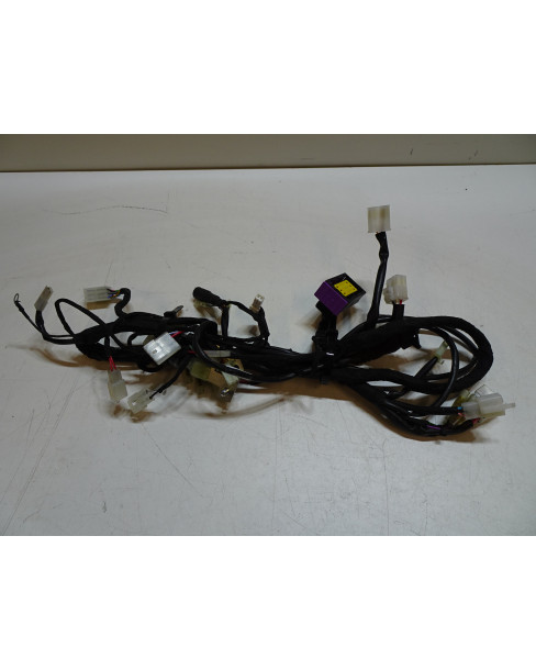 Beta RR50, kabelhärva