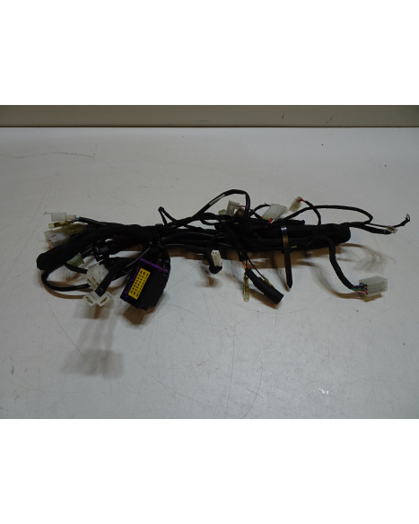 Beta RR50, kabelhärva