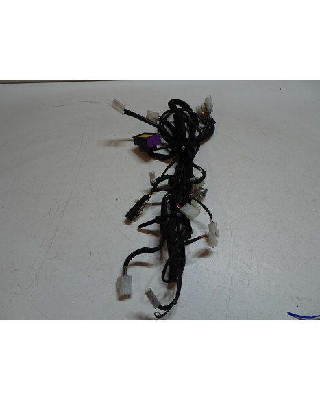 Beta RR50, kabelhärva