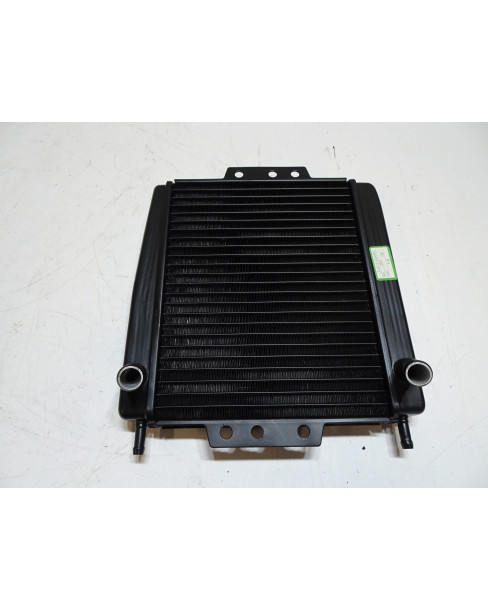 Piaggio MP3 125/250/300/400/500, kylare 2