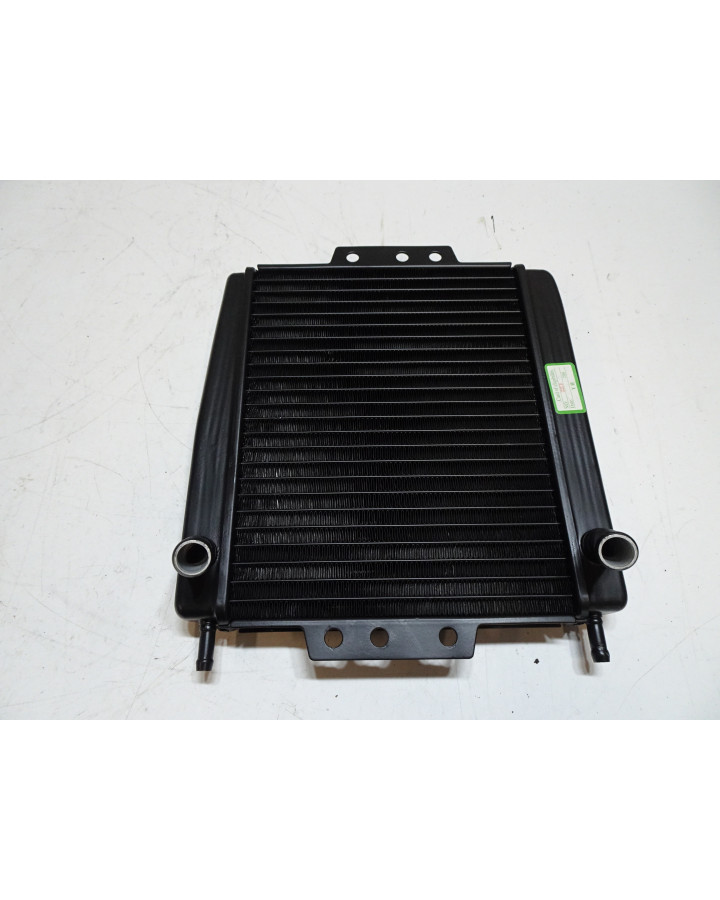 Piaggio MP3 125/250/300/400/500, kylare