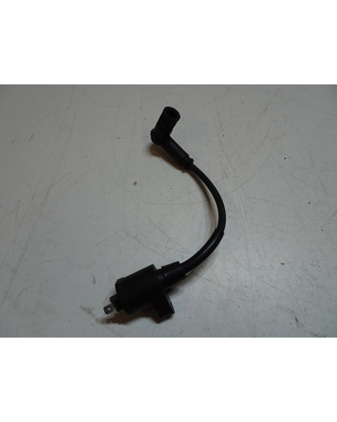 Derbi Senda/Aprilia SX50/Gilera SMT, tändspole 2