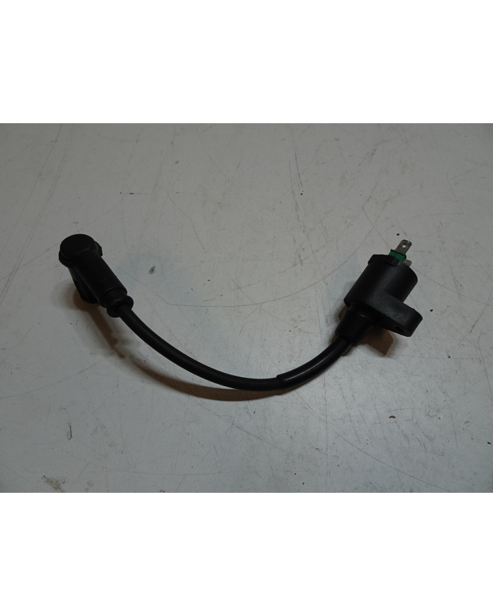 Derbi Senda/Aprilia SX50/Gilera SMT, tändspole