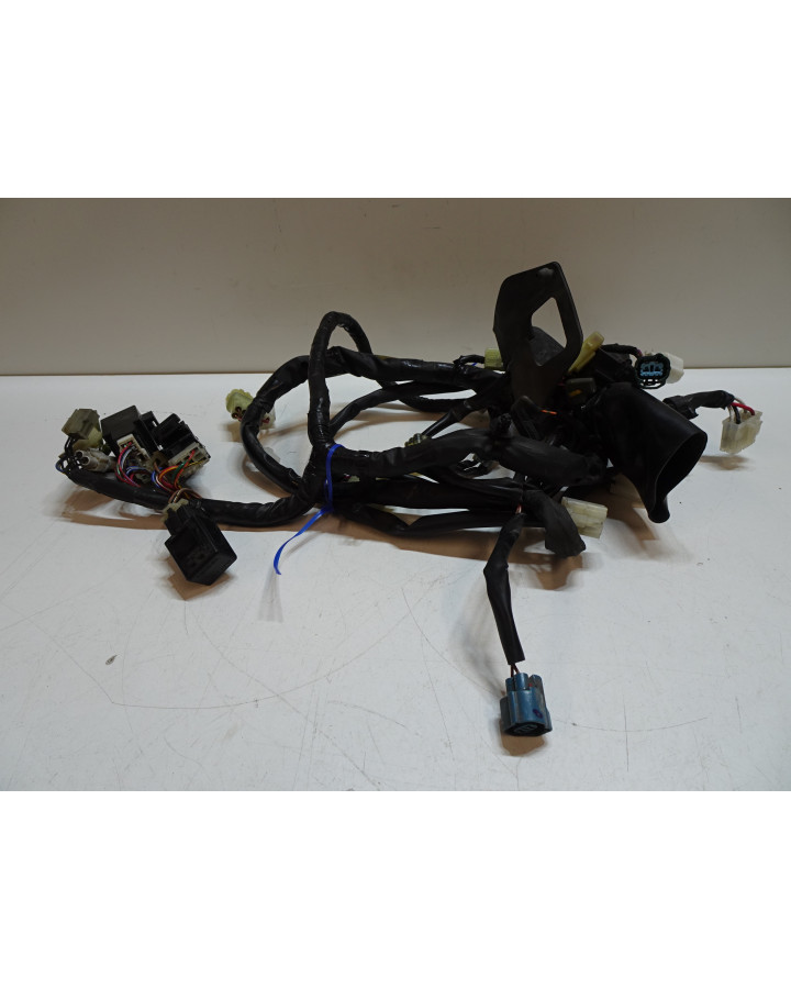 Yamaha FZ6 Fazer, kabelhärva