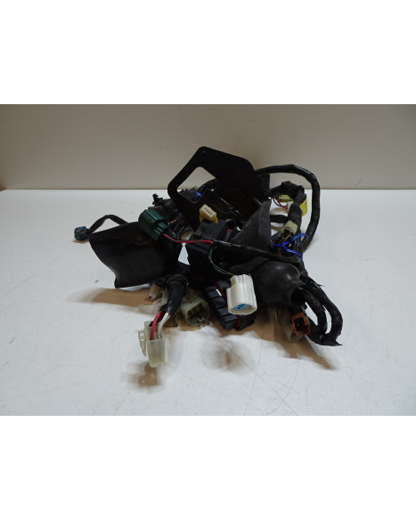 Yamaha FZ6 Fazer, kabelhärva