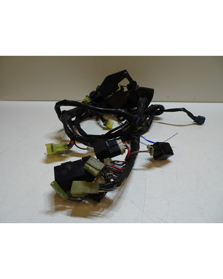 Yamaha FZ6 Fazer, kabelhärva