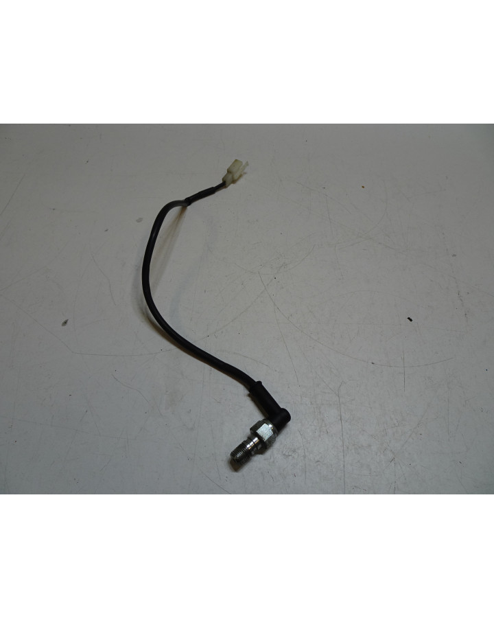 Beta RR50, bromsljuskontakt bak