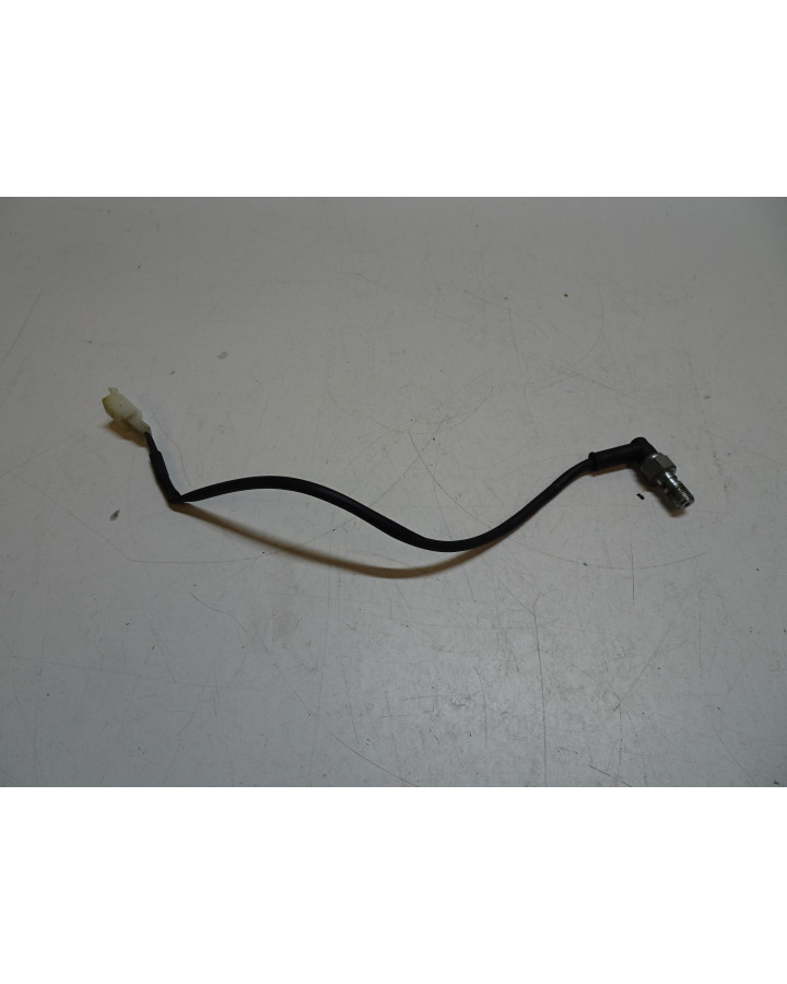 Beta RR50, bromsljuskontakt bak