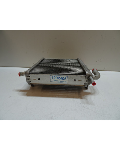 Aprilia SR50, kylare