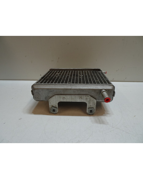 Aprilia SR50, kylare