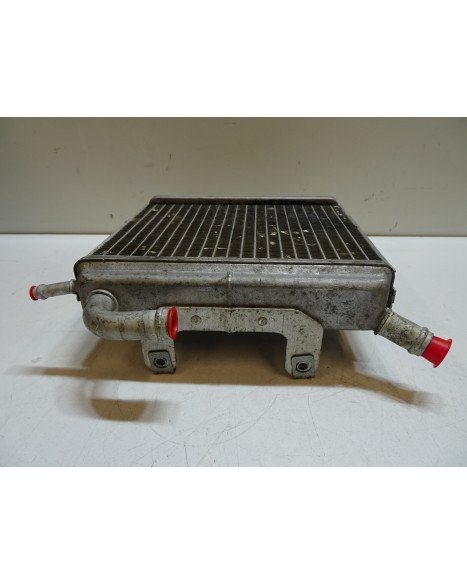 Aprilia SR50, kylare