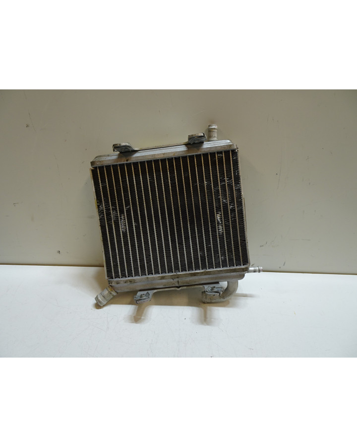 Aprilia SR50, kylare