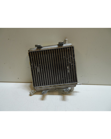 Aprilia SR50, kylare