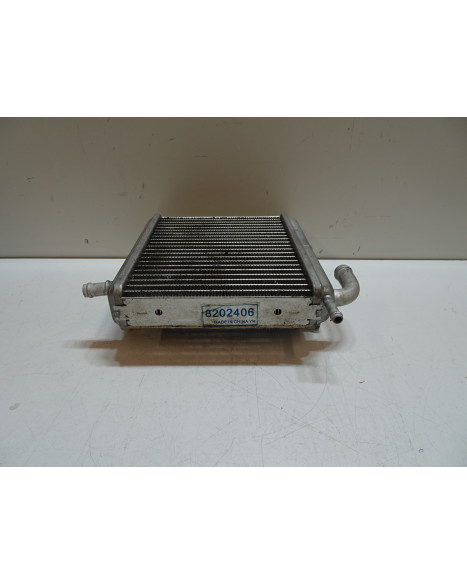 Aprilia SR50, kylare