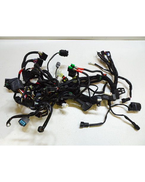 KTM 1290 Super Duke R, kabelhärva 2