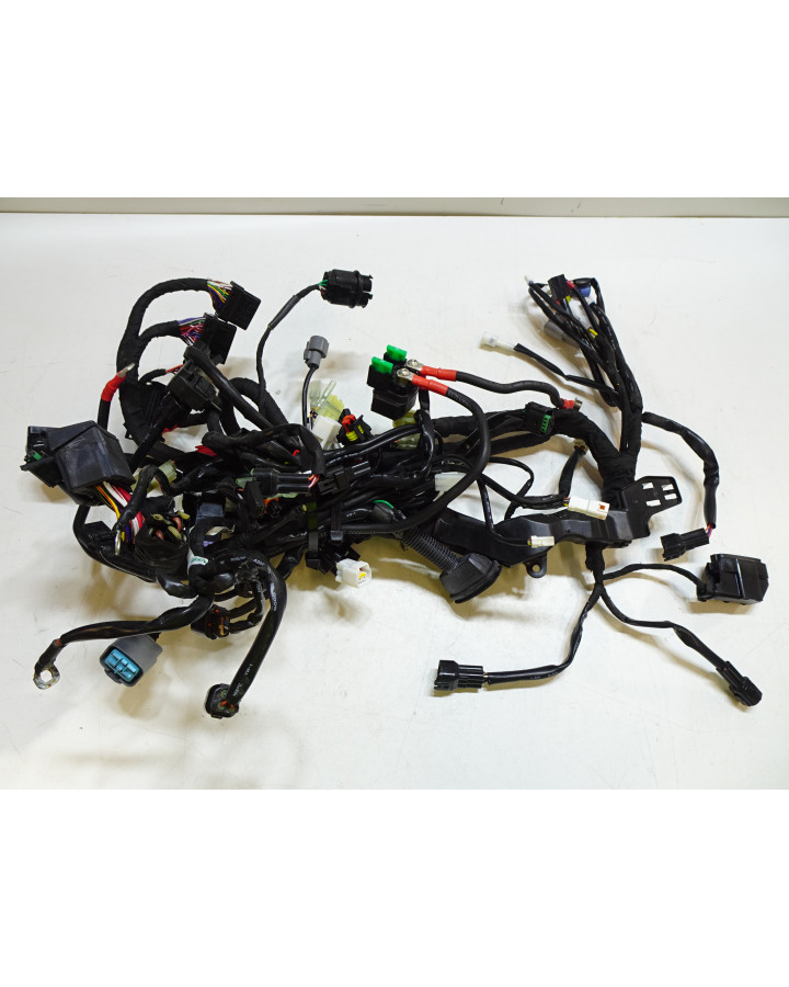 KTM 1290 Super Duke R, kabelhärva