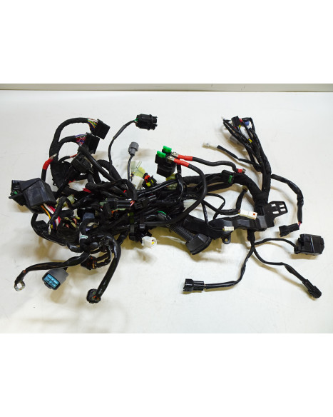 KTM 1290 Super Duke R, kabelhärva