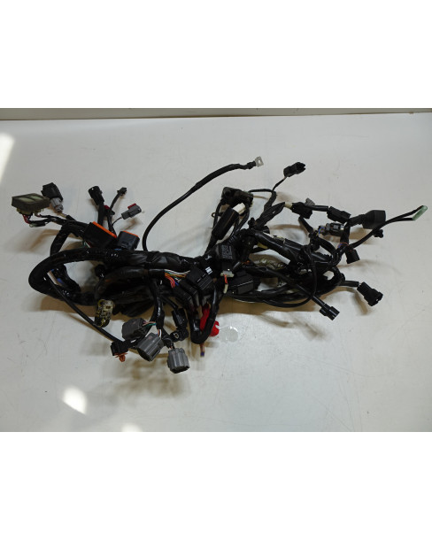 Kawasaki Ninja 650, kabelhärva 2