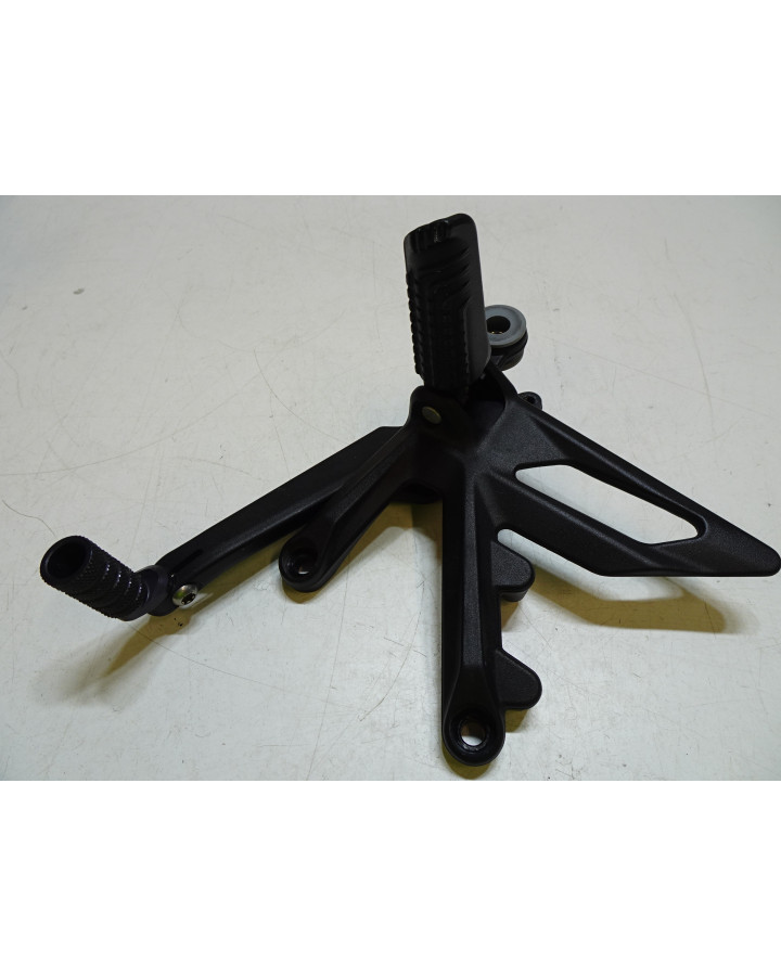 KTM 1290 Super Duke R, fotpinne höger komplett