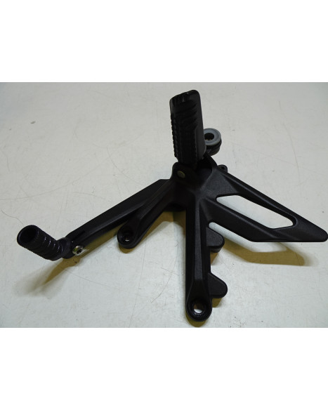 KTM 1290 Super Duke R, fotpinne höger komplett