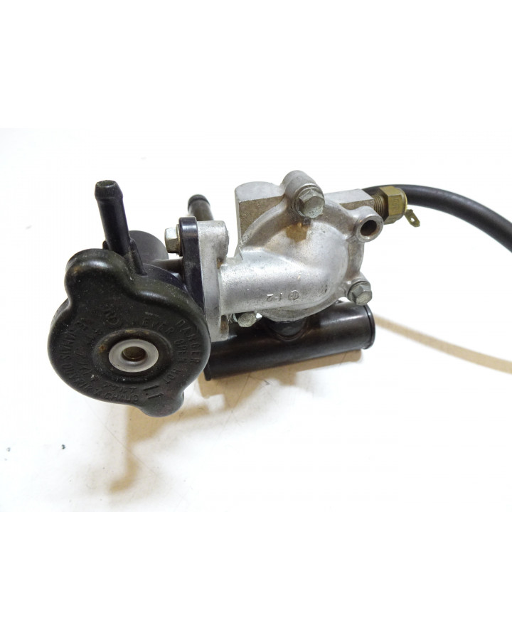 Kawasaki ER-5, termostathus