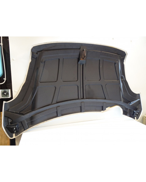 Ligier JS50, motorhuv