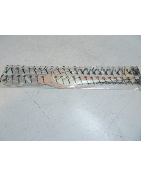 Piaggio NRG, dekalkit (2004)