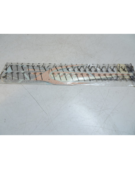 Piaggio NRG, dekalkit (2004)