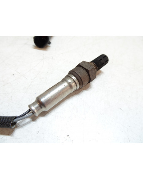 MotoCR T-Rex, lambdasond