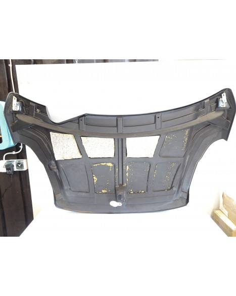 Ligier JS50, motorhuv